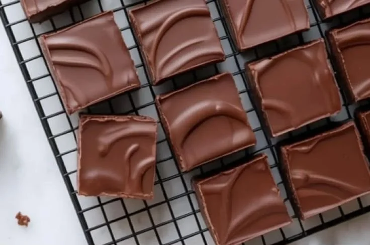 Delicious low carb chocolate coconut fudge dessert cut into squares