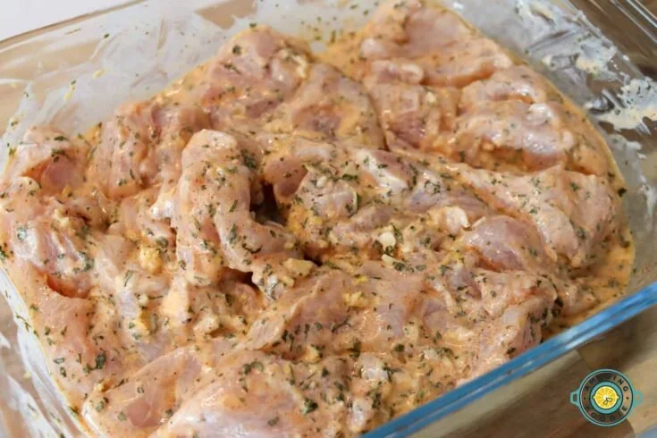 Delicious Greek chicken marinated for juicy and flavorful grilling.